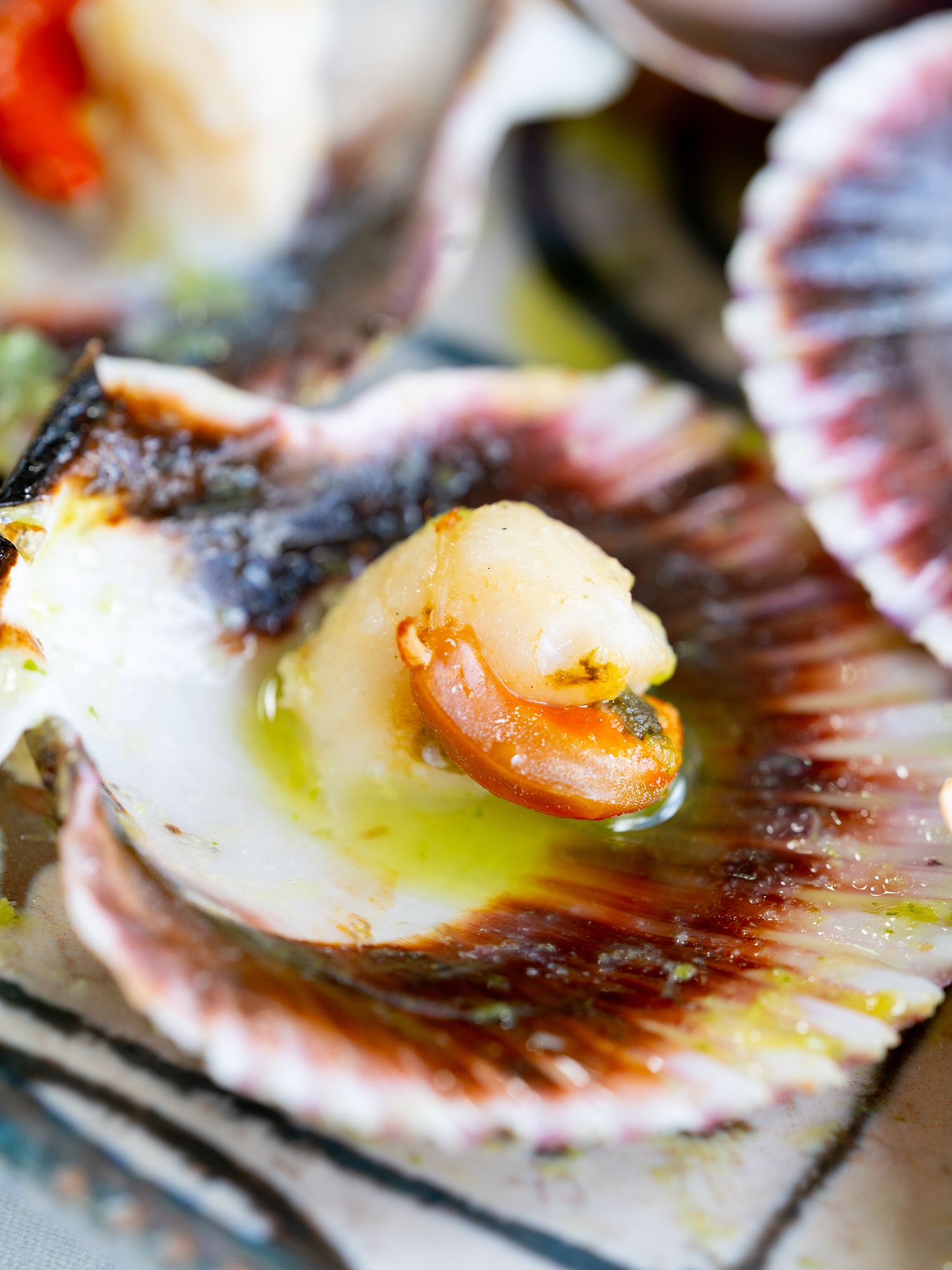 Zamburiñas a la Plancha