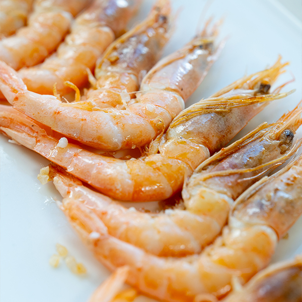 Gamba Blanca de Huelva