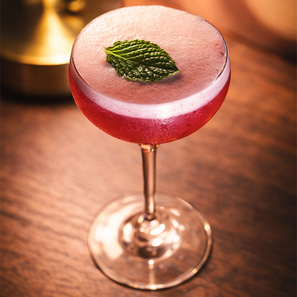 Octopus drinks night